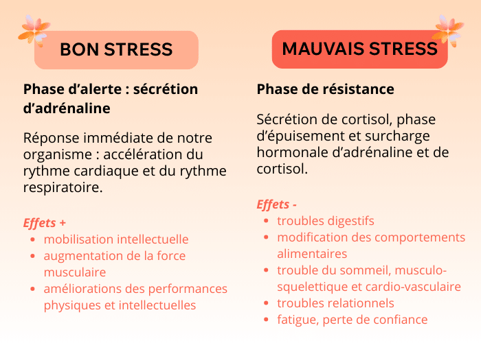Schéma stress prevention santé étudiante (1)